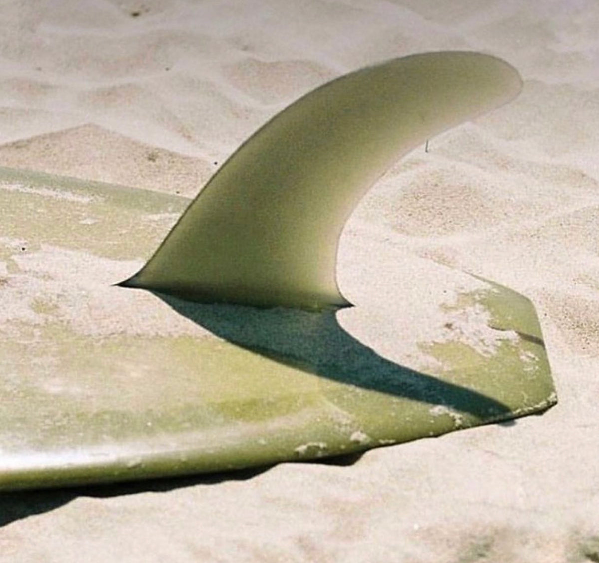 SURF – Solsea Swim